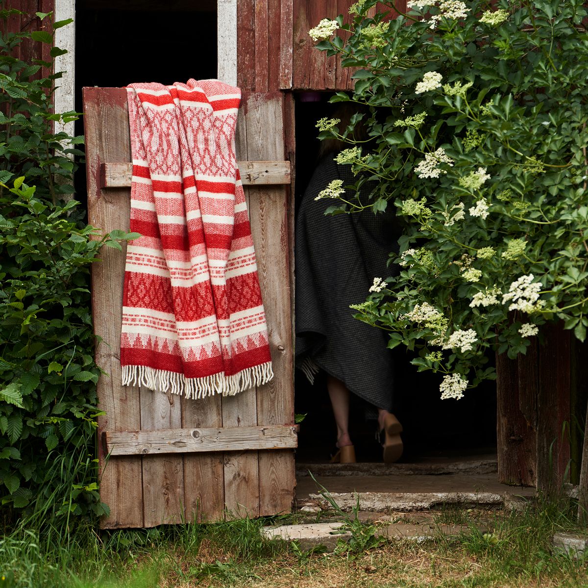 Harald Brushed ECO Lambs Wool Throw, Eight Color Variants – FJØRN  Scandinavian